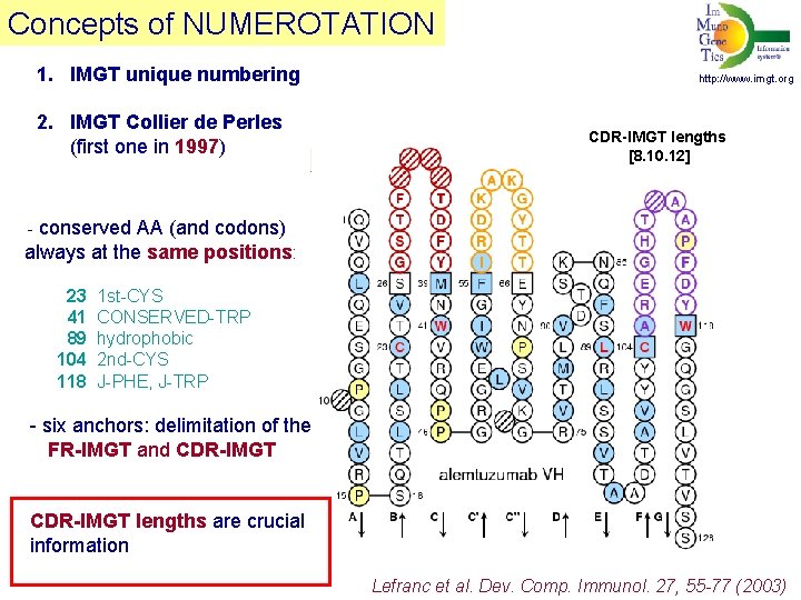 Concepts of NUMEROTATION 1. IMGT unique numbering 2. IMGT Collier de Perles (first one