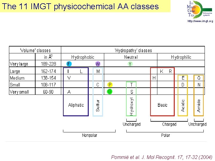 The 11 IMGT physicochemical AA classes http: //www. imgt. org Pommié et al. J.