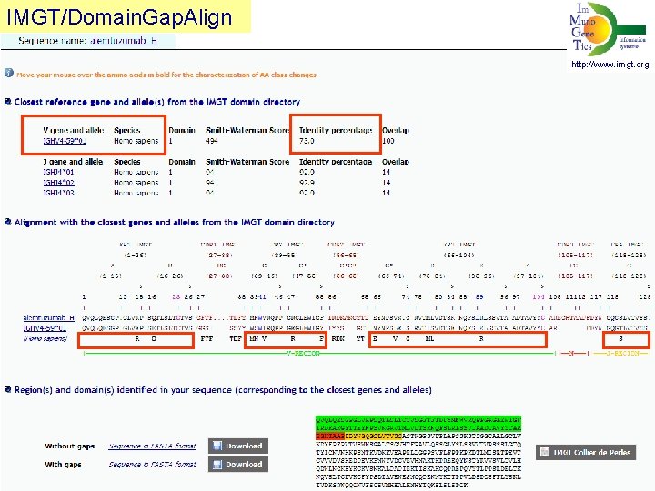 IMGT/Domain. Gap. Align V-REGION identity percent http: //www. imgt. org 