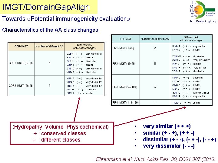 IMGT/Domain. Gap. Align Towards «Potential immunogenicity evaluation» http: //www. imgt. org Characteristics of the