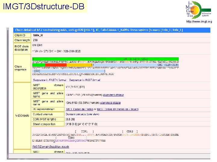 IMGT/3 Dstructure-DB http: //www. imgt. org 