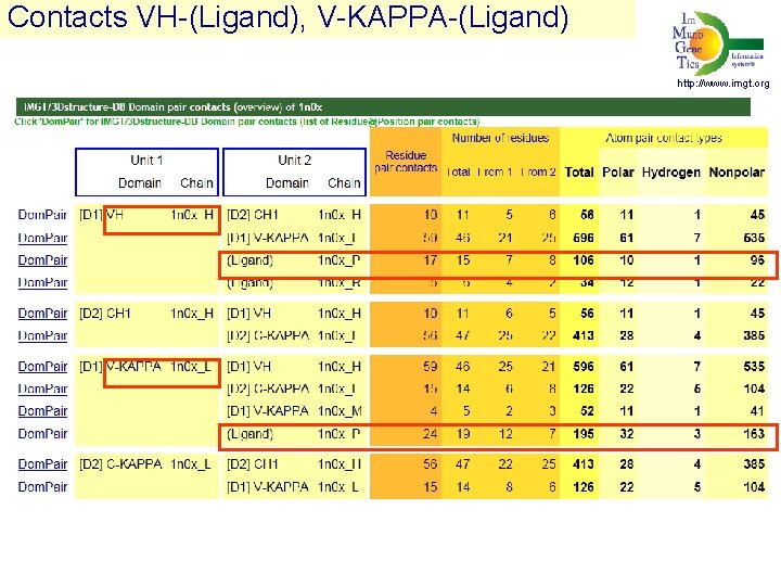 Contacts VH-(Ligand), V-KAPPA-(Ligand) http: //www. imgt. org 