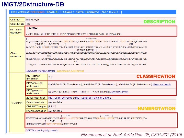 IMGT/2 Dstructure-DB DESCRIPTION CLASSIFICATION NUMEROTATION Ehrenmann et al. Nucl. Acids Res. 38, D 301