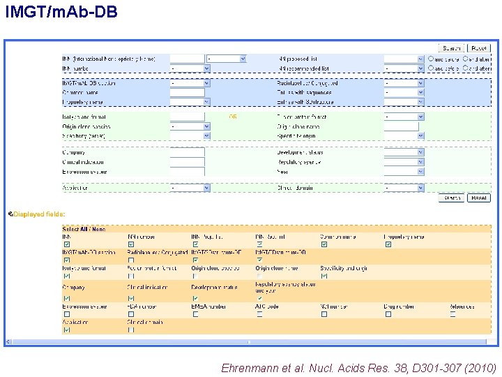 IMGT/m. Ab-DB Ehrenmann et al. Nucl. Acids Res. 38, D 301 -307 (2010) 