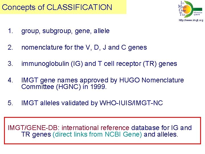 Concepts of CLASSIFICATION http: //www. imgt. org 1. group, subgroup, gene, allele 2. nomenclature