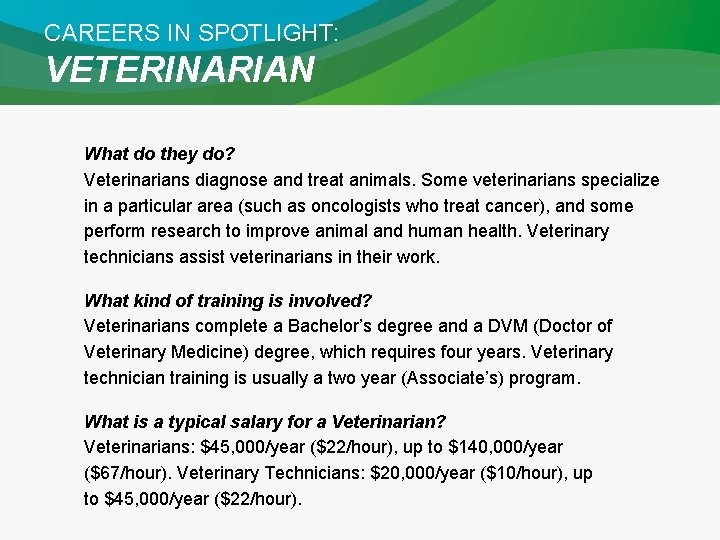 CAREERS IN SPOTLIGHT: VETERINARIAN What do they do? Veterinarians diagnose and treat animals. Some