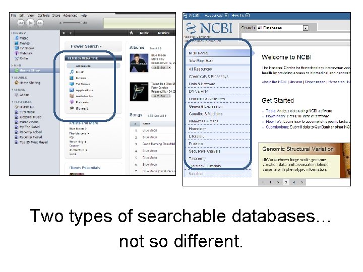 Two types of searchable databases… not so different. 