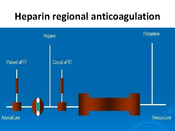 Heparin regional anticoagulation 