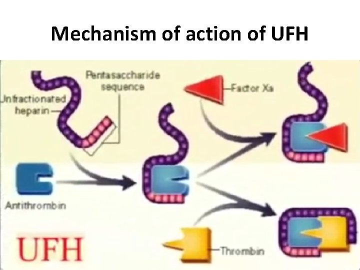 Mechanism of action of UFH 