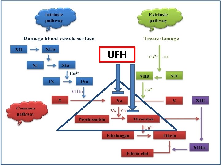 UFH 