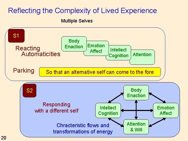 Reflecting the Complexity of Lived Experience Multiple Selves S 1 Reacting Automaticities Parking Body