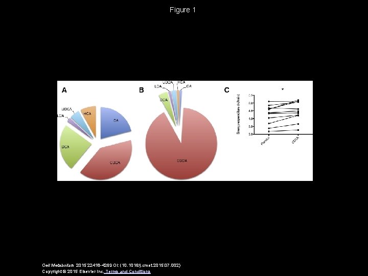 Figure 1 Cell Metabolism 2015 22418 -426 DOI: (10. 1016/j. cmet. 2015. 07. 002)