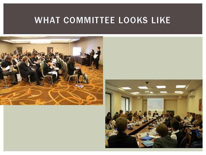 WHAT COMMITTEE LOOKS LIKE 