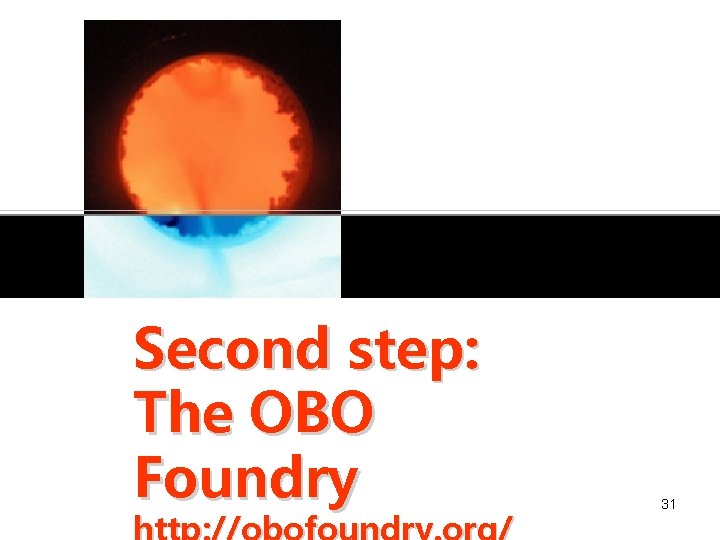 Second step: The OBO Foundry 31 