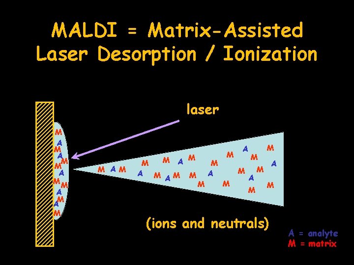 MALDI = Matrix-Assisted Laser Desorption / Ionization laser M A M A M M