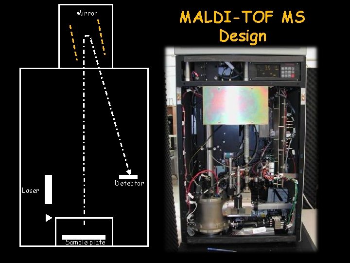 MALDI-TOF MS Design Mirror Detector Laser Sample plate 