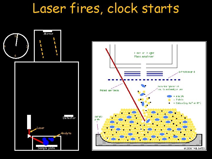Laser fires, clock starts Mirror 12 9 3 6 Laser fires…Clock Starts Detector Laser