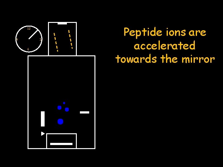 12 9 3 6 Peptide ions are accelerated towards the mirror 