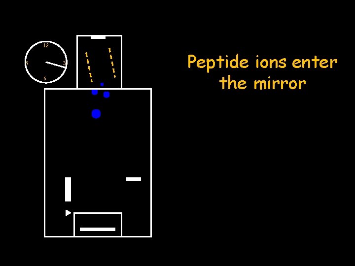 12 9 3 6 Peptide ions enter the mirror 