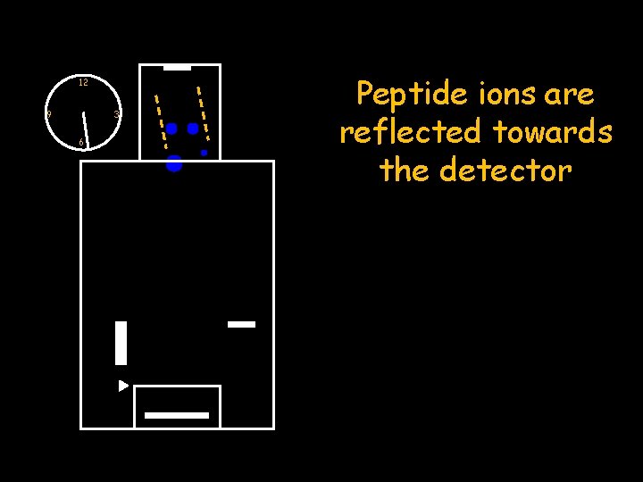 12 9 3 6 Peptide ions are reflected towards the detector 