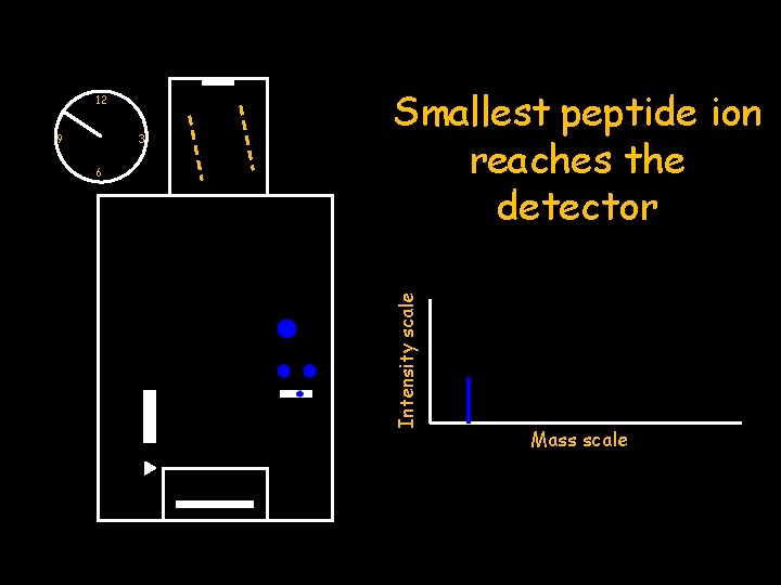 9 3 6 Smallest peptide ion reaches the detector Intensity scale 12 Mass scale