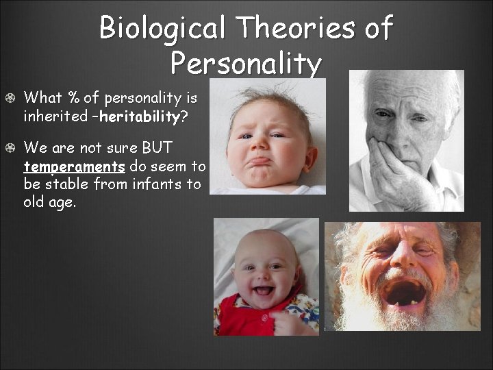 Biological Theories of Personality What % of personality is inherited –heritability? We are not