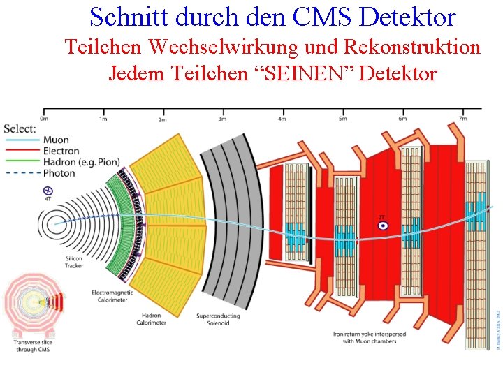 Schnitt durch den CMS Detektor Teilchen Wechselwirkung und Rekonstruktion Jedem Teilchen “SEINEN” Detektor 13