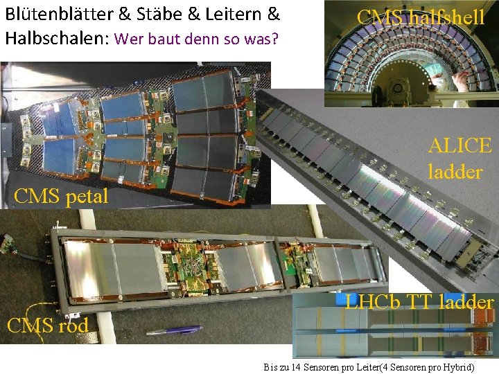 Blütenblätter & Stäbe & Leitern & Halbschalen: Wer baut denn so was? CMS petal