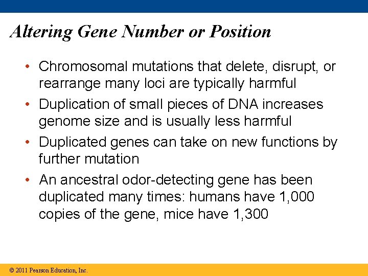 Altering Gene Number or Position • Chromosomal mutations that delete, disrupt, or rearrange many