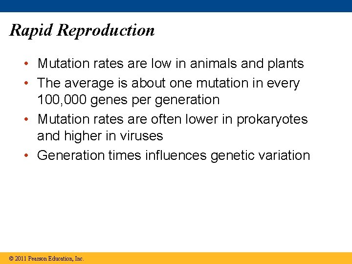 Rapid Reproduction • Mutation rates are low in animals and plants • The average