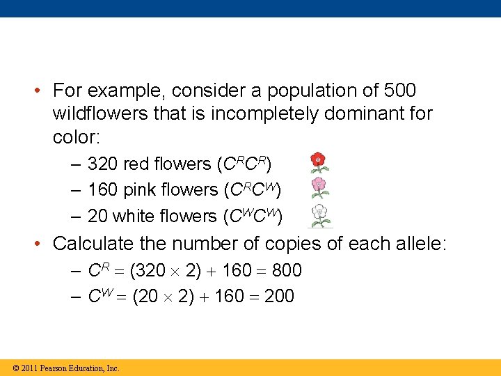  • For example, consider a population of 500 wildflowers that is incompletely dominant