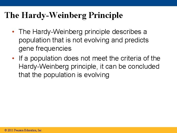 The Hardy-Weinberg Principle • The Hardy-Weinberg principle describes a population that is not evolving