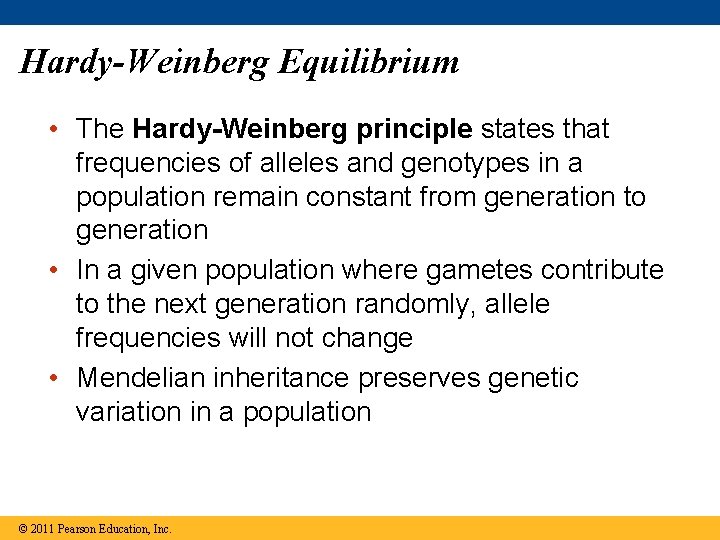 Hardy-Weinberg Equilibrium • The Hardy-Weinberg principle states that frequencies of alleles and genotypes in