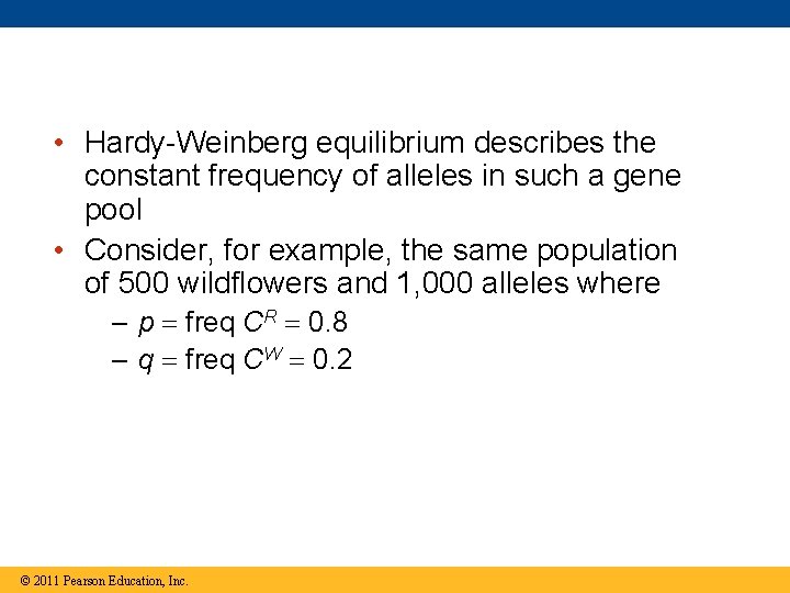  • Hardy-Weinberg equilibrium describes the constant frequency of alleles in such a gene