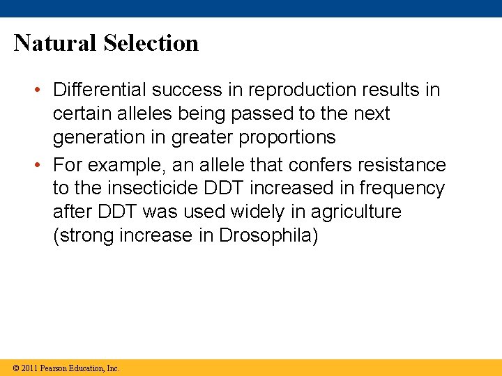 Natural Selection • Differential success in reproduction results in certain alleles being passed to