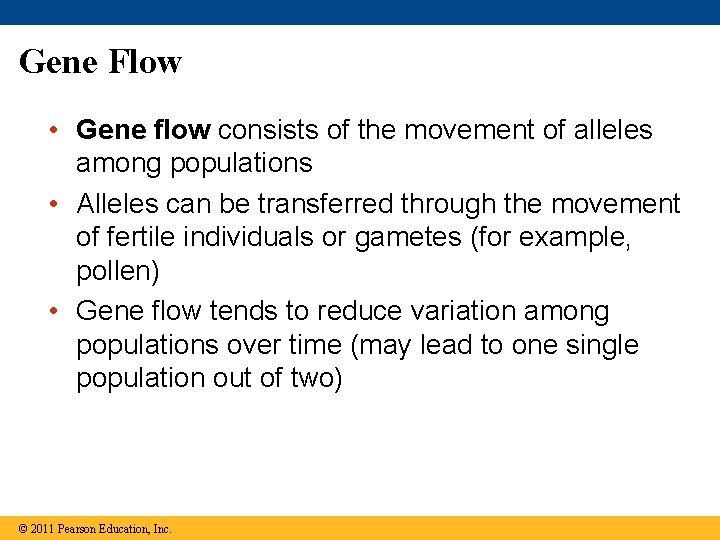 Gene Flow • Gene flow consists of the movement of alleles among populations •