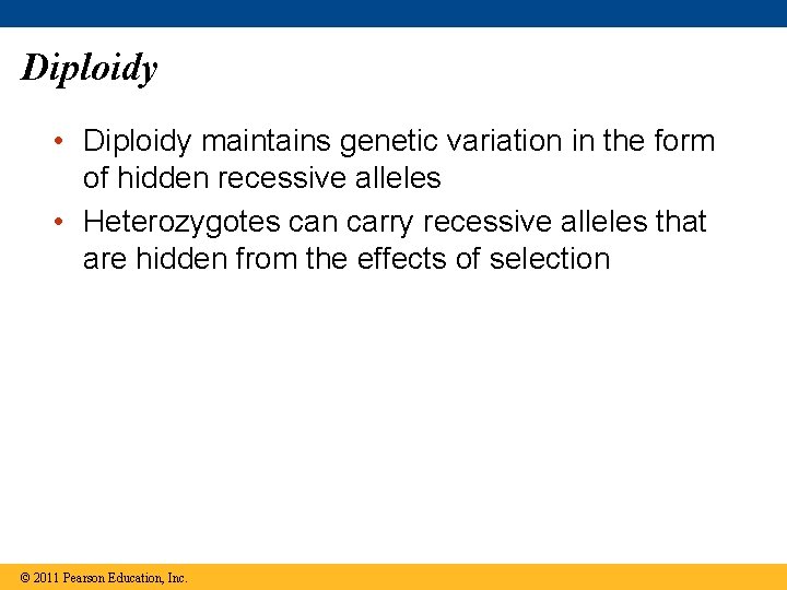 Diploidy • Diploidy maintains genetic variation in the form of hidden recessive alleles •