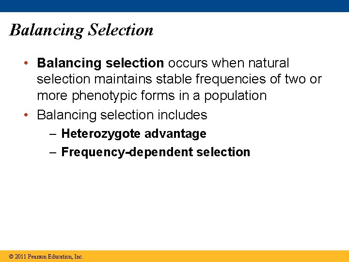 Balancing Selection • Balancing selection occurs when natural selection maintains stable frequencies of two