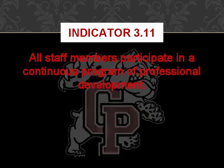 INDICATOR 3. 11 All staff members participate in a continuous program of professional development.