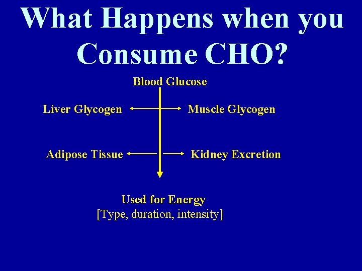 What Happens when you Consume CHO? Blood Glucose Liver Glycogen Muscle Glycogen Adipose Tissue
