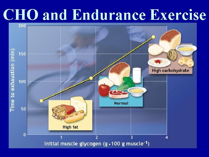 CHO and Endurance Exercise 