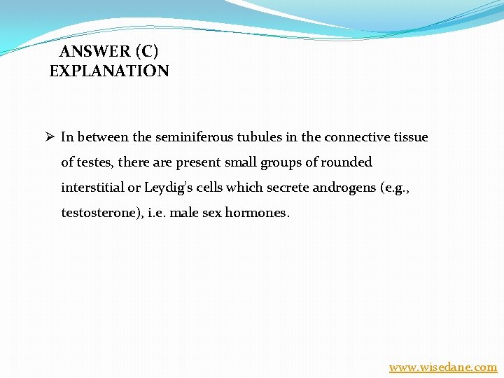 ANSWER (C) EXPLANATION Ø In between the seminiferous tubules in the connective tissue of