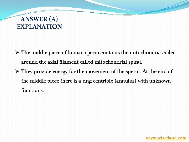 ANSWER (A) EXPLANATION Ø The middle piece of human sperm contains the mitochondria coiled