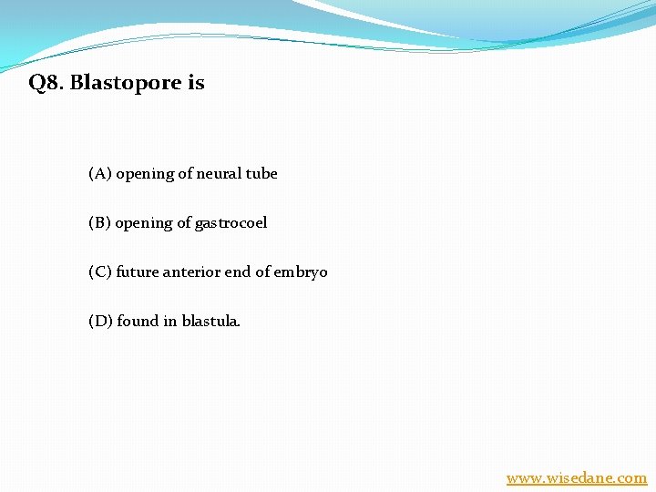 Q 8. Blastopore is (A) opening of neural tube (B) opening of gastrocoel (C)