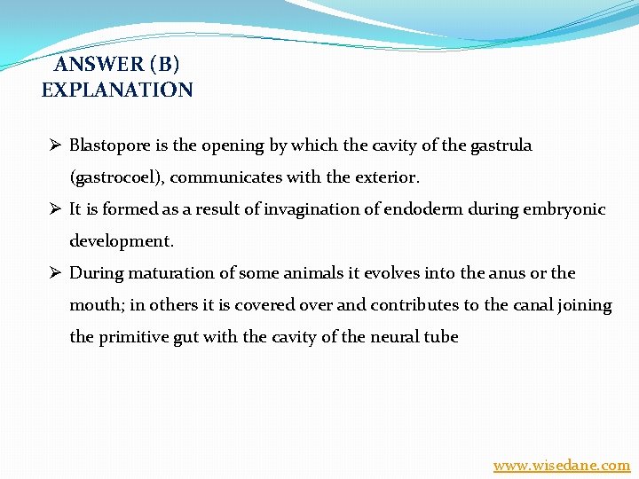 ANSWER (B) EXPLANATION Ø Blastopore is the opening by which the cavity of the