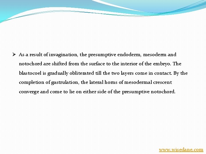 Ø As a result of invagination, the presumptive endoderm, mesoderm and notochord are shifted