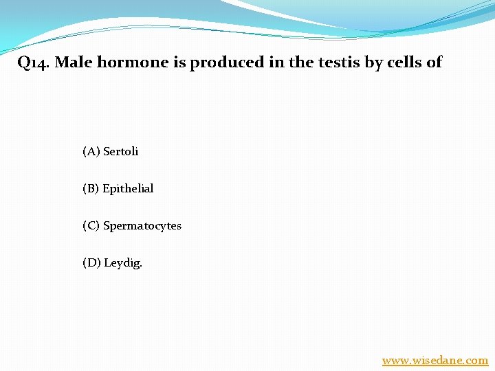 Q 14. Male hormone is produced in the testis by cells of (A) Sertoli
