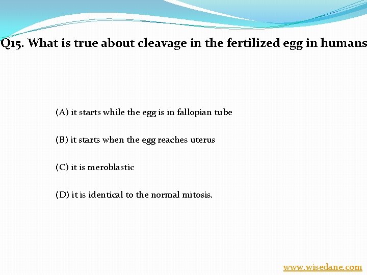 Q 15. What is true about cleavage in the fertilized egg in humans (A)