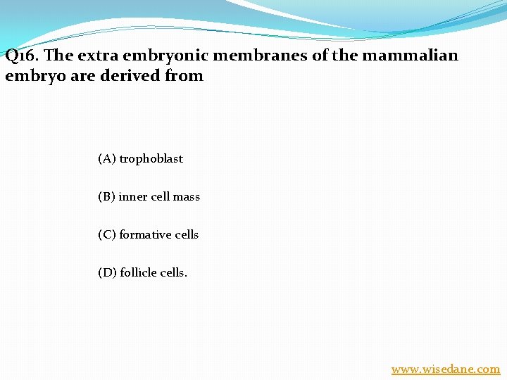 Q 16. The extra embryonic membranes of the mammalian embryo are derived from (A)