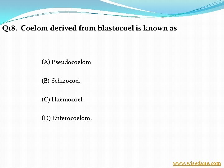 Q 18. Coelom derived from blastocoel is known as (A) Pseudocoelom (B) Schizocoel (C)